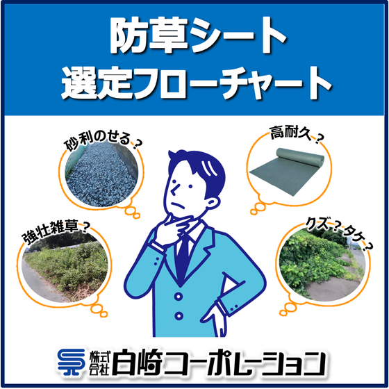 メイン画像.png