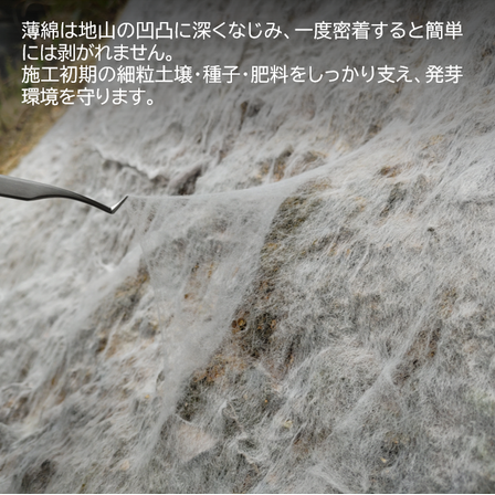 薄綿1.png