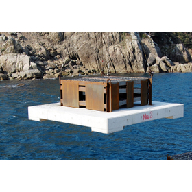 シェルナースイセエビ型