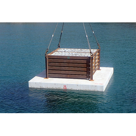 シェルナース幼稚魚保護育成礁