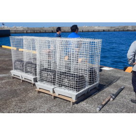 Bezo-kun with protective net.