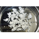 s_-asbestos02.jpg