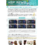 【資料】HSP NEWS 61号
