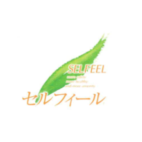 船舶用空気触媒セルフィール