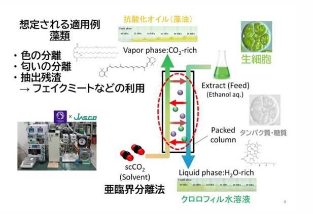 東北大学技術：藻類成分のグリーン抽出技術：T23-067 東北テクノアーチ
