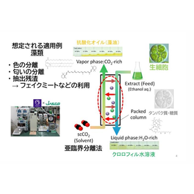 東北大学技術：藻類成分のグリーン抽出技術：T23-067