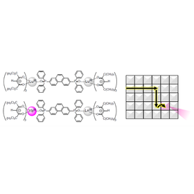 北海道大学技術：酸素センサー：HK24-006