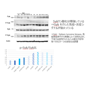 東北大学技術：免疫チェックポイント阻害剤：T23-054