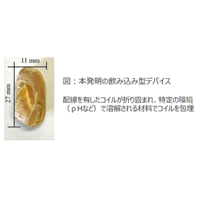 東北大学技術：飲み込み型デバイス：T25-061 製品画像
