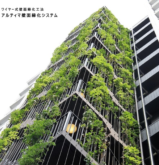 【学校向け】アルティマ壁面緑化システム