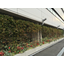 Wall greening (integrated wire planter) Ultima wall greening system