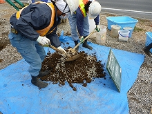 【マンション植栽向け】スーパーソルL1