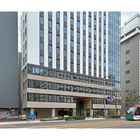 【施工例53】低層の本石に合わせて調色し重厚感のある仕上がりに。