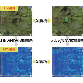 【AI Inspection】枯木の倒木リスク判定
