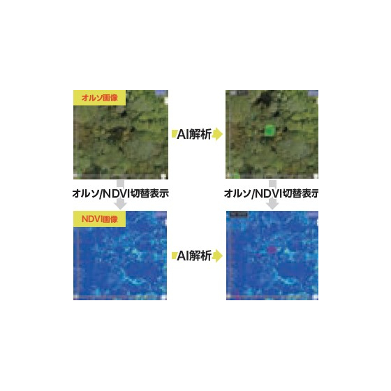 【AI Inspection】枯木の倒木リスク判定1.jpg