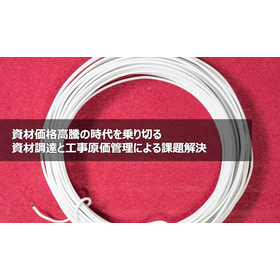 Navigating the Era of Rising Materi...