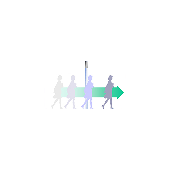 77890.png