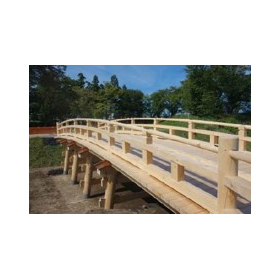 [Case Study] Horikoshi Castle Woode...