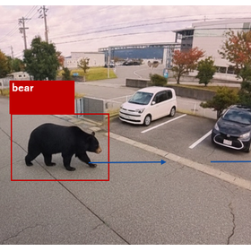 Bear Detection AIJO Site Monitor for Campsites