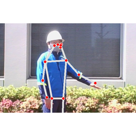 【Security Purpose】Person and Skelet...