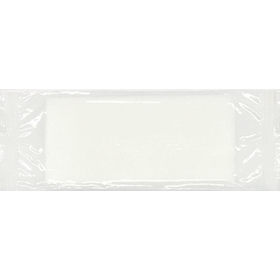 個包装不織布おしぼり『ＴＭ－２６００』平タイプ