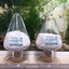 Photocatalytic compounded resin [masterbatch] with antibacterial, freshness-preserving, and environmentally friendly features.
