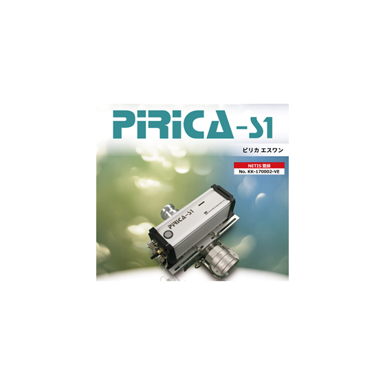 PIRICA-S1.png