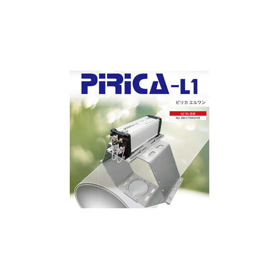 PIRICA-L1.png