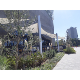 【学校向け】埋設式アルミポール