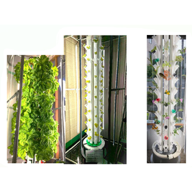 【省スペース】VegeTree トール 製品画像