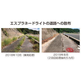 お客様の声!道路維持管理の変革 草刈り予算を「除草管理」へシフト