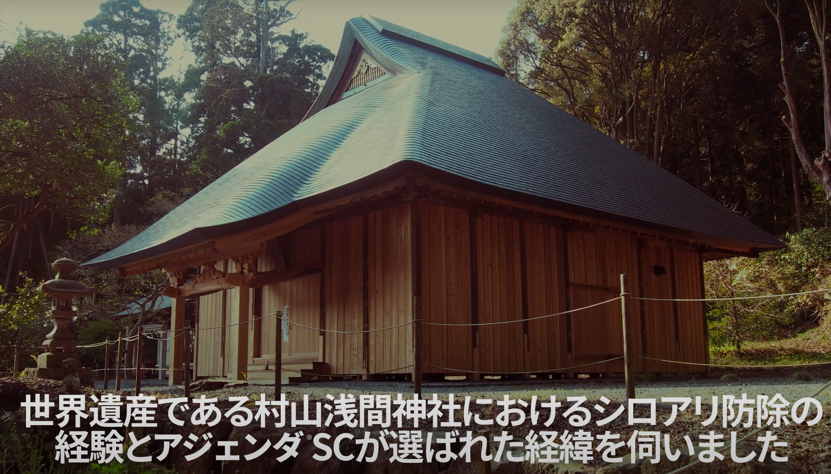 【観光施設向け】アジェンダSCによるシロアリ防除