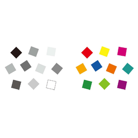 Understanding the Organization of C...