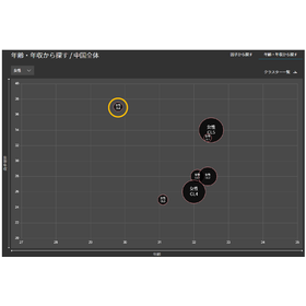 Purchasing characteristics of high-...