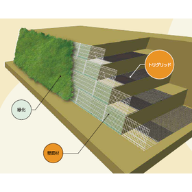 Soil and Ground Reinforcement Geogrid 'TRIGRID EX'