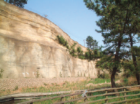 自然景観を再現する法面保護工法『斜面いろどり工法』