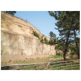 斜面いろどり工法