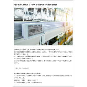 電子棚札の価格って？導入から運用までの費用を解説 製品画像
