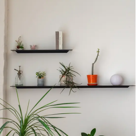 飾り棚『STELF』