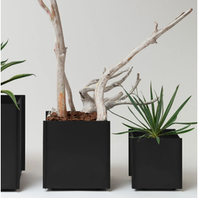 プラントボックス『鉄鉢』