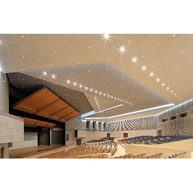 Seismic reinforcement of specific ceilings: Presenting examples of fall prevention in schools and music halls!