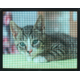 0163C_1.png