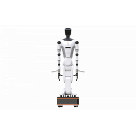 エンボディドAI開発プラットフォーム『RealBOT』