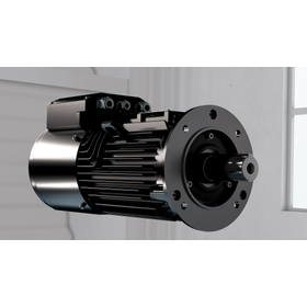 LV Titanium可変速モータ