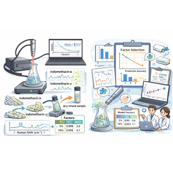 表紙イラスト025年12月30日 11_53_49.png