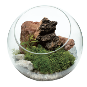 Moss print