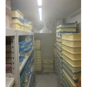 [Case Study of Frozen ZEAS] Gokan C...