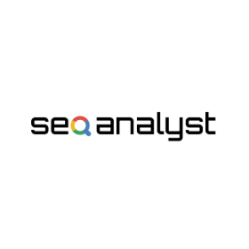 オーダーメイド型SEOコンサルティング『seo analyst』