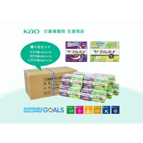 災害備蓄用 生理用品 花王ナプキン (10年保証)