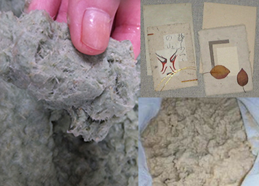 パルプ『エコパルプ』